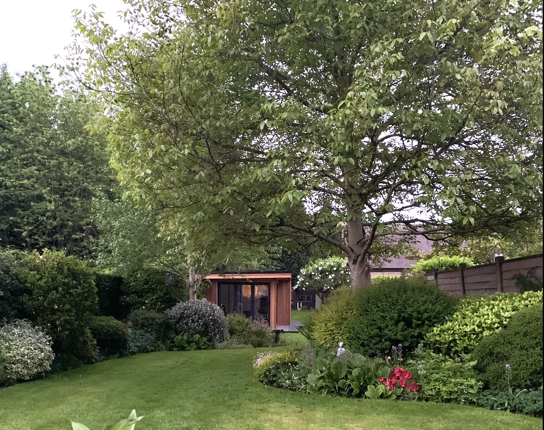 This image shows a cedar clad garden room with black bifold doors and a black deck set in a large garden with a large green leafy tree and lots of large shrubs and a beautiful green lawn.